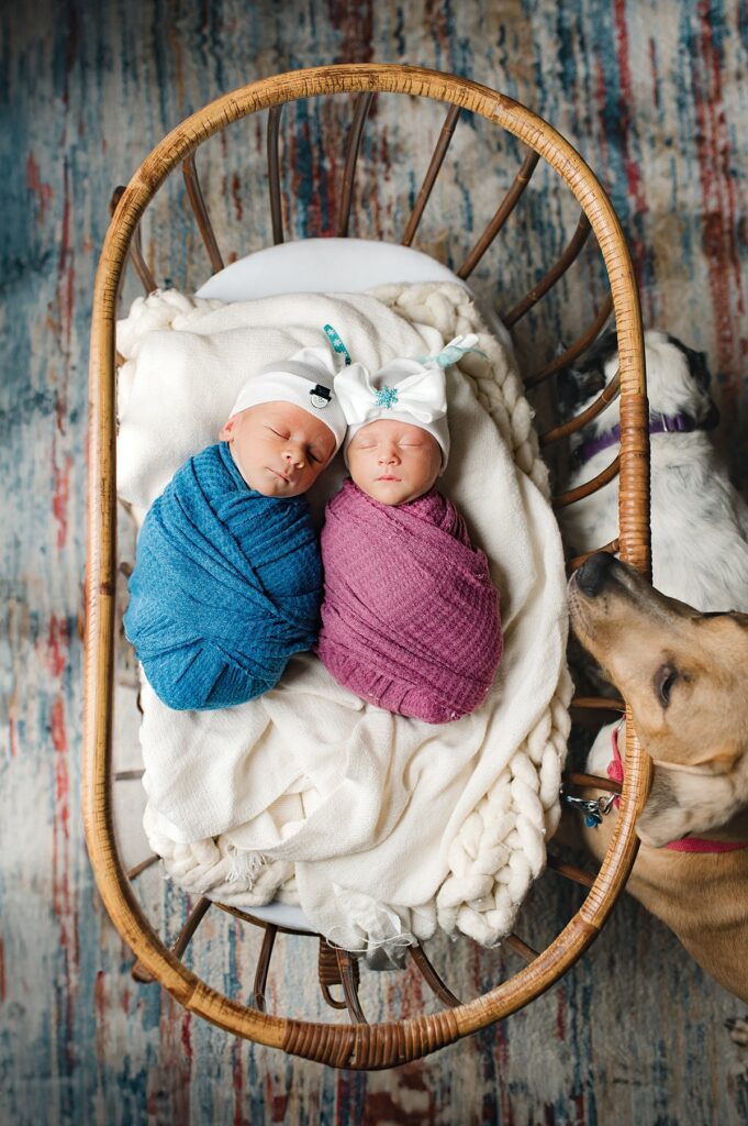 A photo from a twin newborn session in a Texas home is shown. 