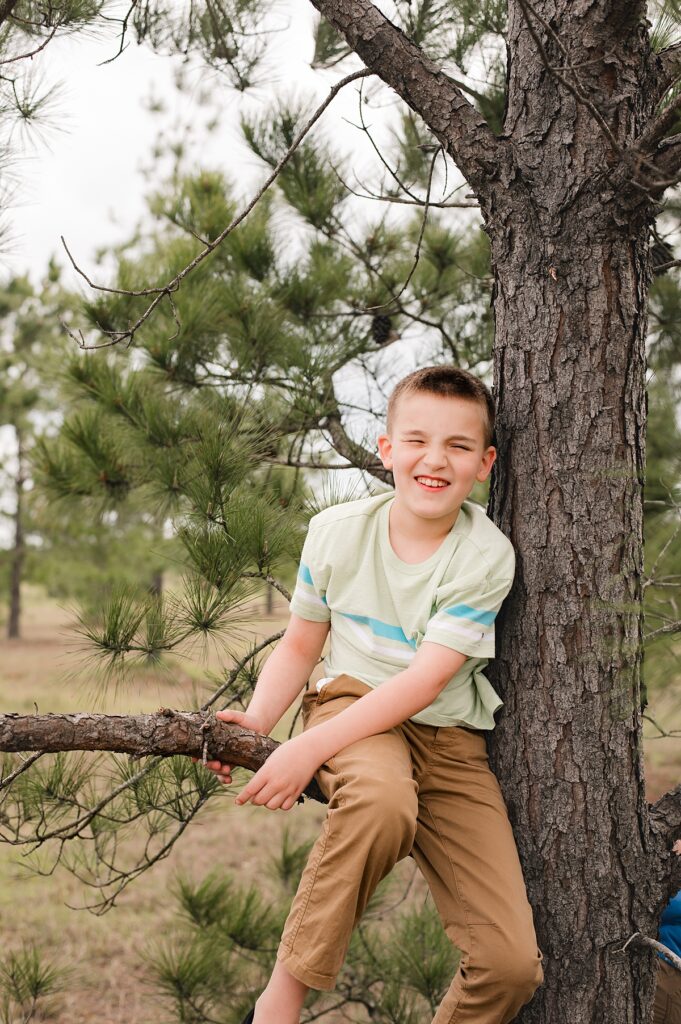 A young boy wearing khakis and a green shirt smiles as he's seated on the limb of a tree he climbed at a Houston area park during a family photo session with Cypress area family photographer, Mel B Photo.