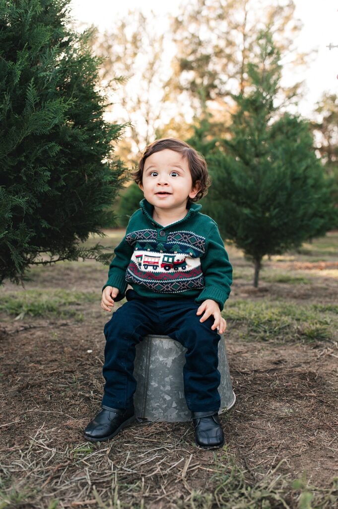 A toddler boy wearing a Christmas sweater poses for photos at a Texas Christmas tree farm 