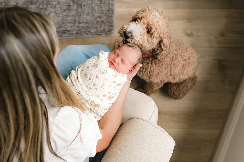 A Houston newborn is photographed in her home next to the family Golden Doodle while being held by her Houston Sleep Consultant mother 