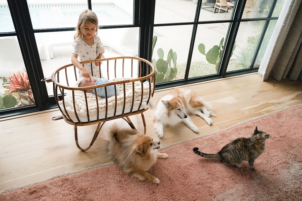 newborn photography the woodlands tx pictures a newborn boy in a blue swaddle lying in a bassinet 