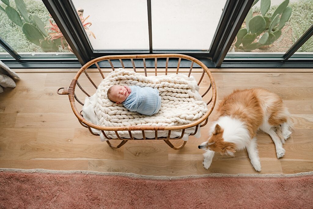 a newborn baby is swaddled in a bassinet in a photo taken during newborn photography the woodlands tx
